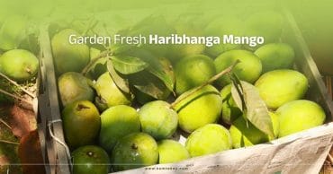 Garden Fresh Haribhanga Mango