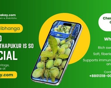 Why Haribhanga Mango from Mithapukur is So Special