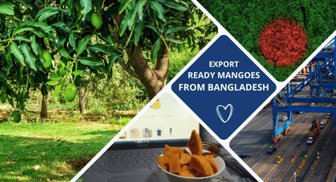 mango-import-export komtakay