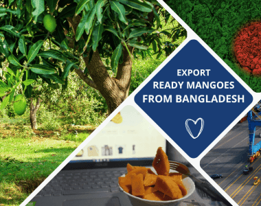 mango-import-export komtakay