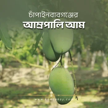 komtakay amrapali mango buy