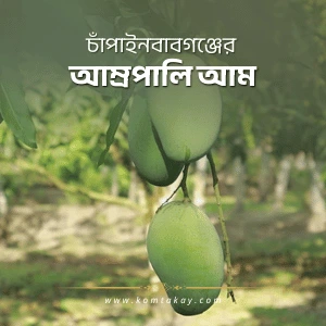 komtakay amrapali mango catalog