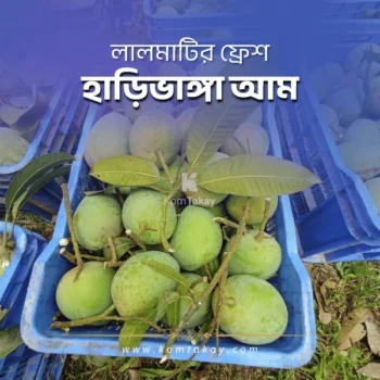 komtakay haribhanga mango buy